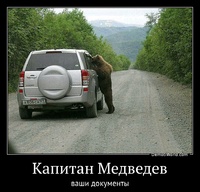 Капитан Медведев ваши документы
