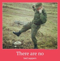 There are no bed sappers