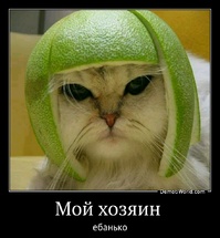 Мой хозяин  ебанько