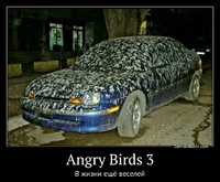 Angry Birds 3 В жизни ещё веселей