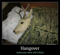 Hangover makes you more self critical