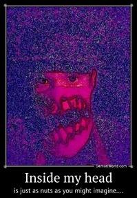 Inside my head is just as nuts as you might imagine....