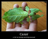 Салат и тот не всегда вегетерианский
