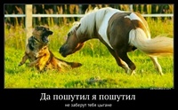 Да пошутил я пошутил  не заберут тебя цыгане 