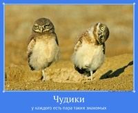 Чудики у каждого есть пара таких знакомых