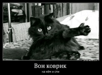 Вон коврик  на нём и спи 