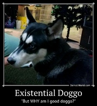 Existential Doggo "But WHY am I good doggo?"