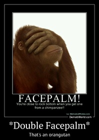 *Double Facepalm* That's an orangutan