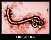 LIKE ABOLA 