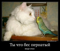 Ты что бес пернатый ваще опух 