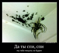 Да ты спи, спи  мы тебе мешать не будем 